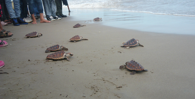 Fotos archivo EL HERALDO