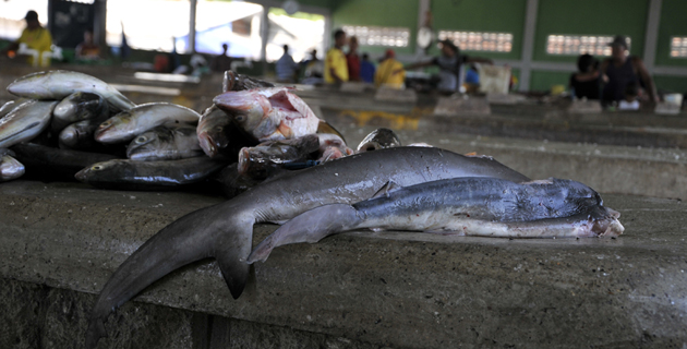 Fotos archivo EL HERALDO