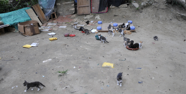 Fotos archivo EL HERALDO