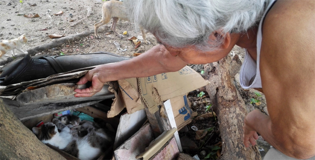 Fotos archivo EL HERALDO