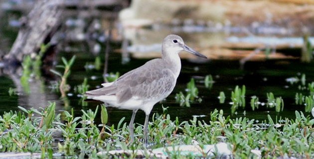 Fotos archivo EL HERALDO