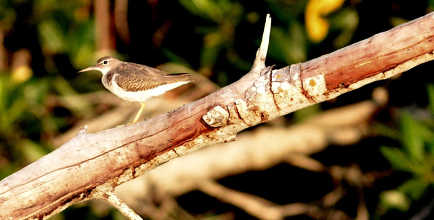 Fotos archivo EL HERALDO