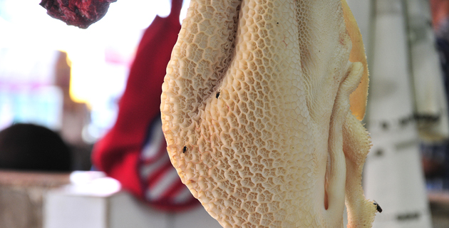 Fotos archivo EL HERALDO