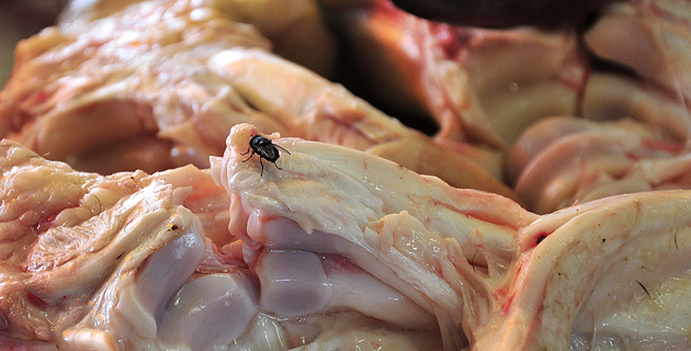 Fotos archivo EL HERALDO