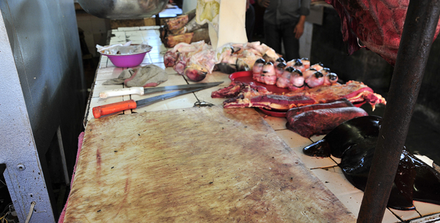 Fotos archivo EL HERALDO