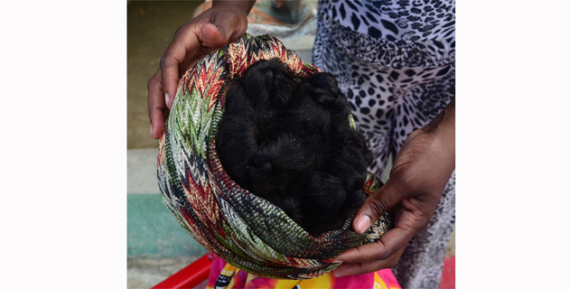 Fotos archivo EL HERALDO