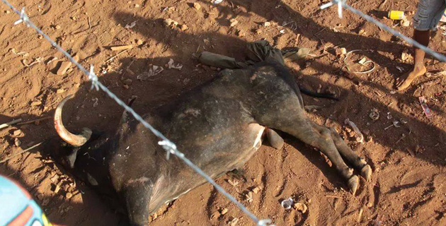 Fotos archivo EL HERALDO