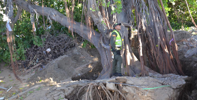 Fotos archivo EL HERALDO