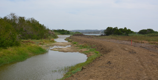 Fotos archivo EL HERALDO