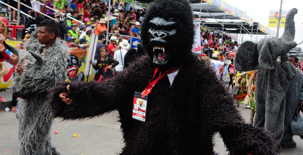 Fotos archivo EL HERALDO