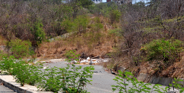 Fotos archivo EL HERALDO