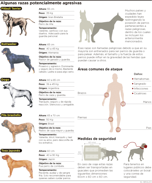 Fotos archivo EL HERALDO