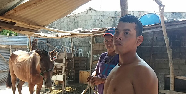 Fotos archivo EL HERALDO