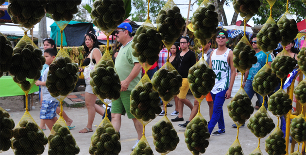 Fotos archivo EL HERALDO