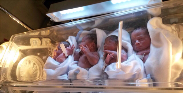 Fotos archivo EL HERALDO