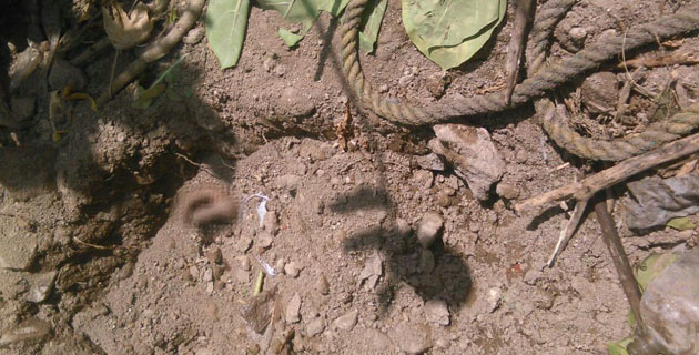 Fotos archivo EL HERALDO