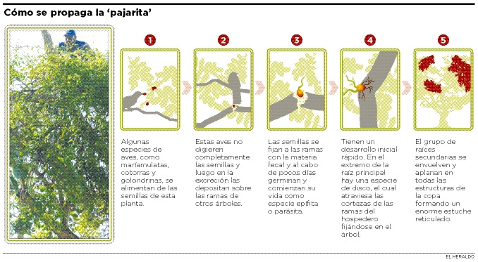 Fotos archivo EL HERALDO