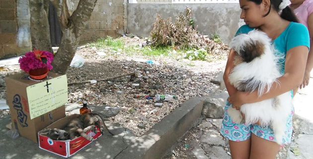 Fotos archivo EL HERALDO