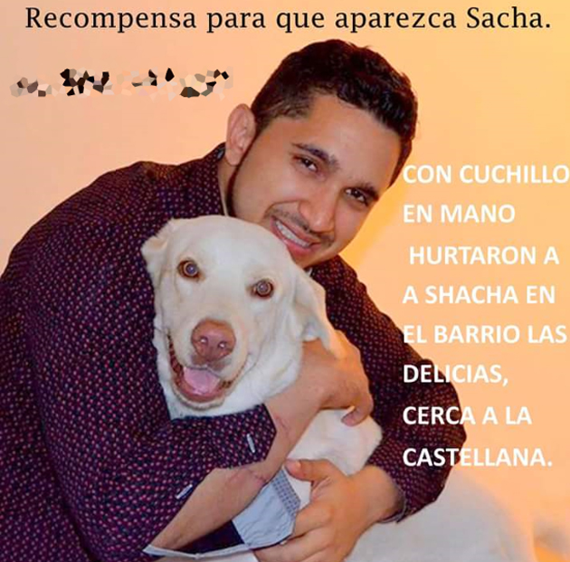 Fotos archivo EL HERALDO