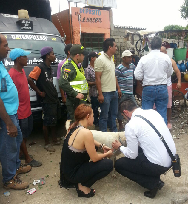 Fotos archivo EL HERALDO