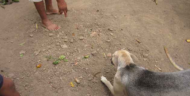 Fotos archivo EL HERALDO