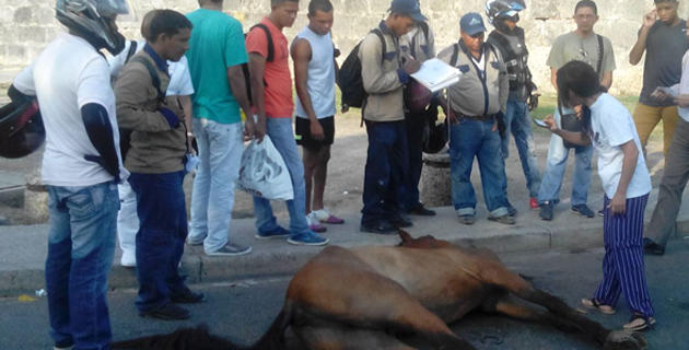 Fotos archivo EL HERALDO