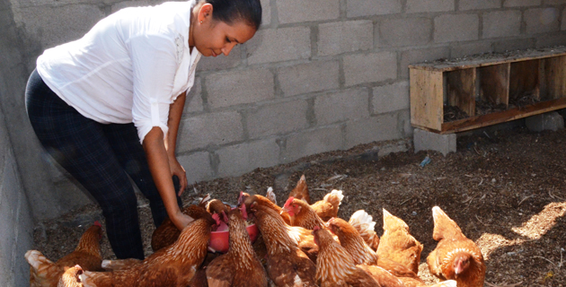 Fotos archivo EL HERALDO