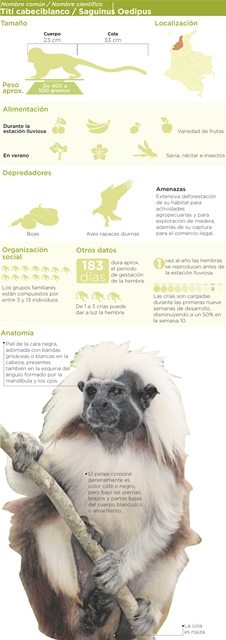 Fotos archivo EL HERALDO